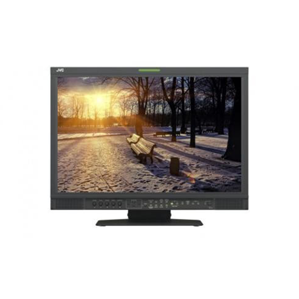 Moniteur de vidéo DT-V17G25 JVC